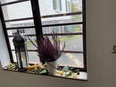 img-9456.jpg