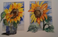 sonnenblumen-20190410-200701-1.jpg